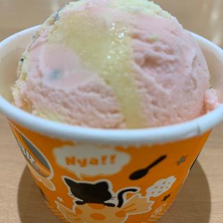シングルカップ(サーティワンアイスクリーム イオン板橋ショッピングセンター店)