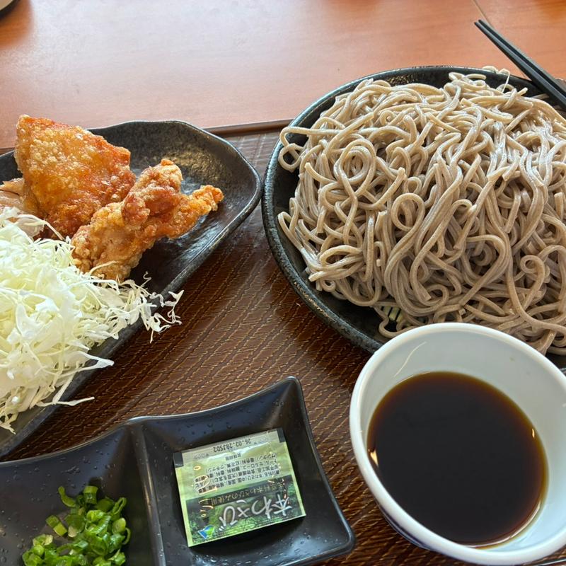 もりそば&から揚げセット（そば2倍）(から好し 草津店)