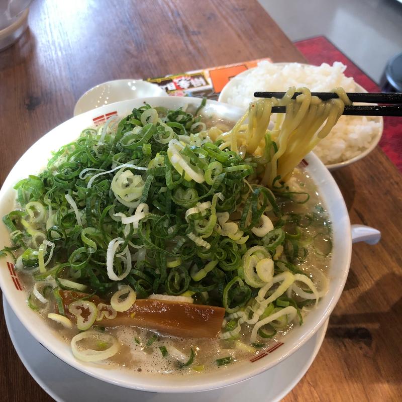 濃厚醤油ラーメン(京都ラーメン 3丁目ラーメン幸樹)