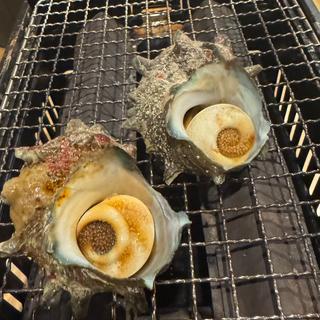 さざえ壺焼き(宮地鮮屋 橘通東店)