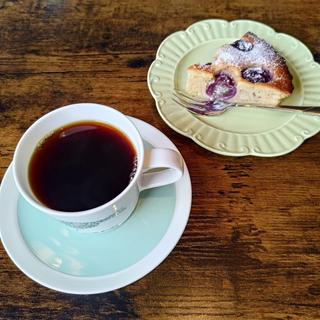 マンデリンとぶどうのケーキ ホットコーヒー(nazca bird（ナスカバード）)