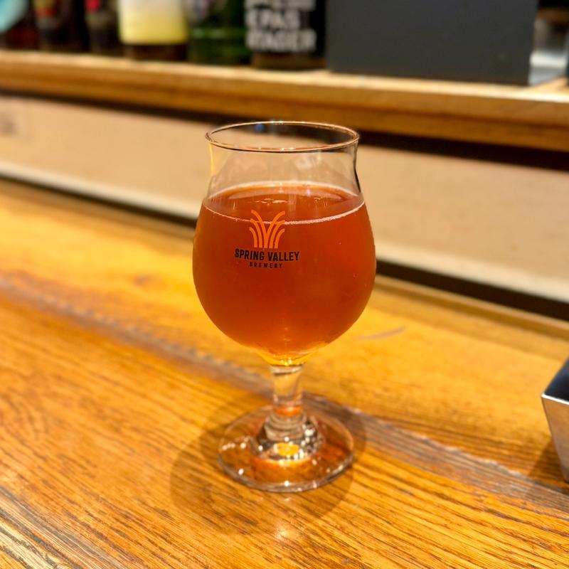 常陸野だいだいエール(SALON BUTCHER & BEER（サロン ブッチャー アンド ビア） サロン ブッチャー アンド ビア NEWoMan新宿)