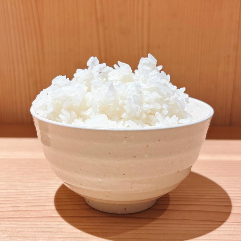 (ら〜麺ふしみ)ライス(新横浜ラーメン博物館)