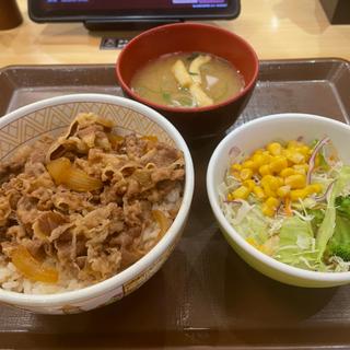 牛丼+サラダセット