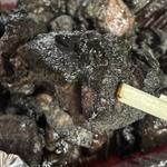 もも焼き(地鶏炭火焼き ひなた)