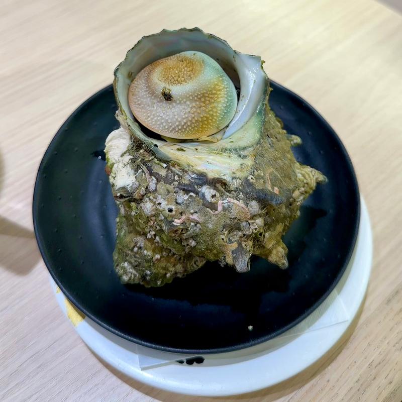 さざえの刺身(すし銚子丸 亀戸店)