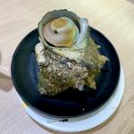 さざえの刺身