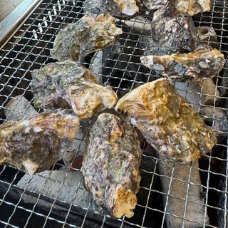 みるく牡蠣(みるくがき豊久丸)