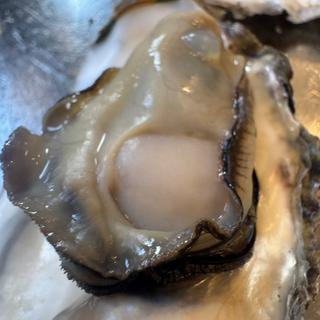 みるく牡蠣(みるくがき豊久丸)