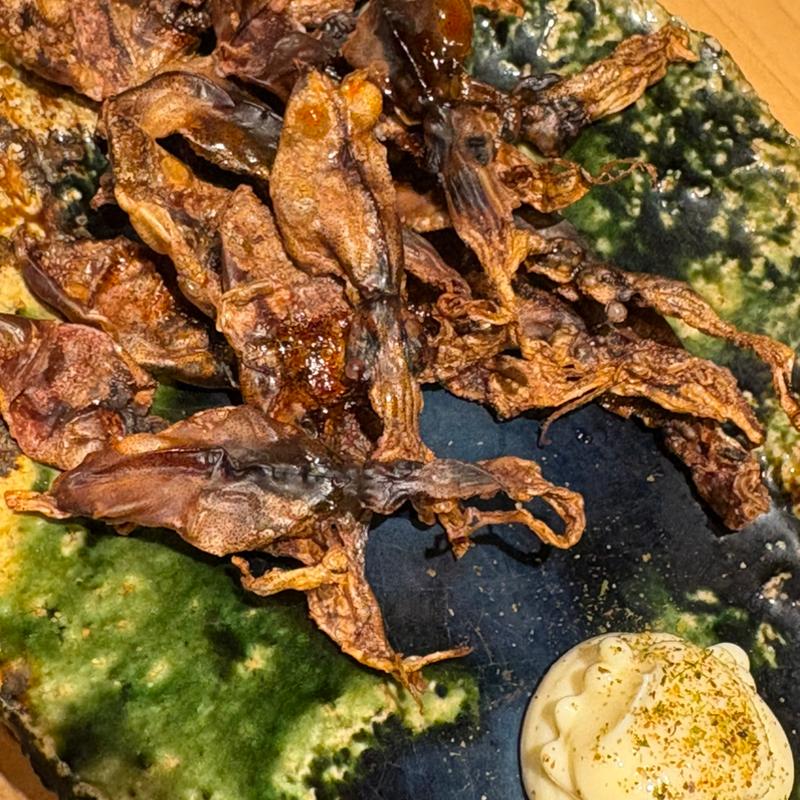 ホタルイカの丸干し(新橋 日本酒 おだしと、おさけ。すずめ)