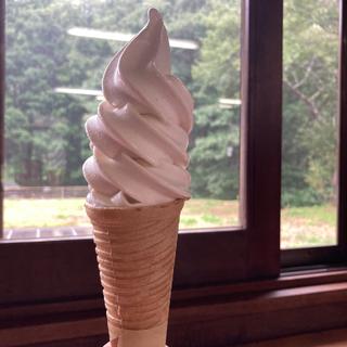そば粉のソフトクリーム