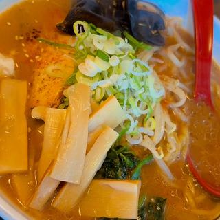 白味噌ラーメン　メンマ増し
