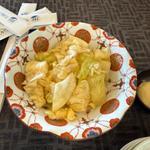 ハルピンキャベツ