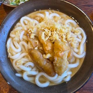 ごぼう天うどん