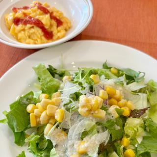 シェフおすすめ日替わりランチ