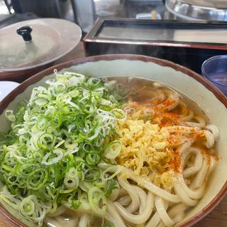素うどん（大盛り）(牧のうどん 片江店)