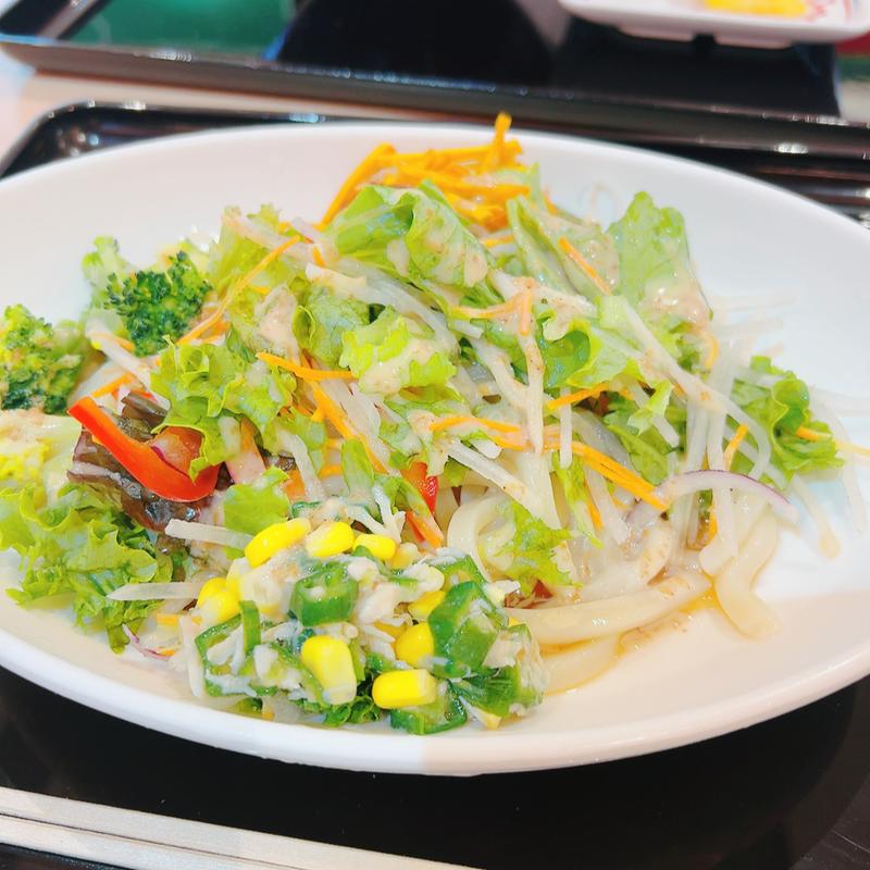 10種野菜のサラダうどん (はなまるうどん ニトリモール枚方店)