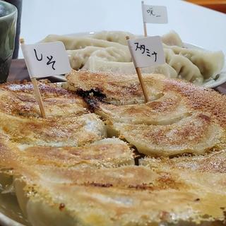ハーフアンドハーフセット＋餃子一皿(餃子 咲一)