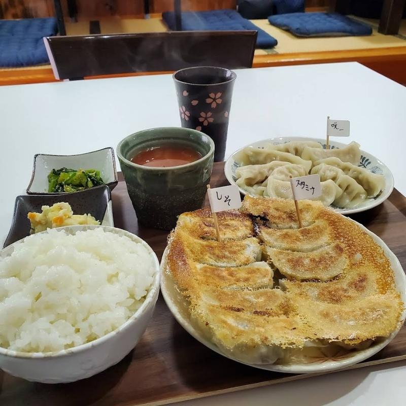 ハーフアンドハーフセット＋餃子一皿(餃子 咲一)