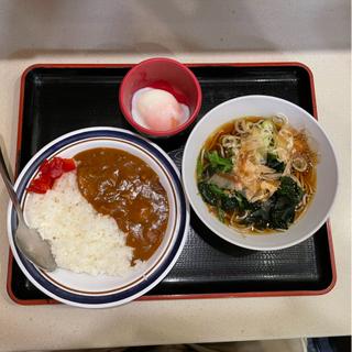 朝ミニカレーセット(名代 富士そば 川崎東口店)