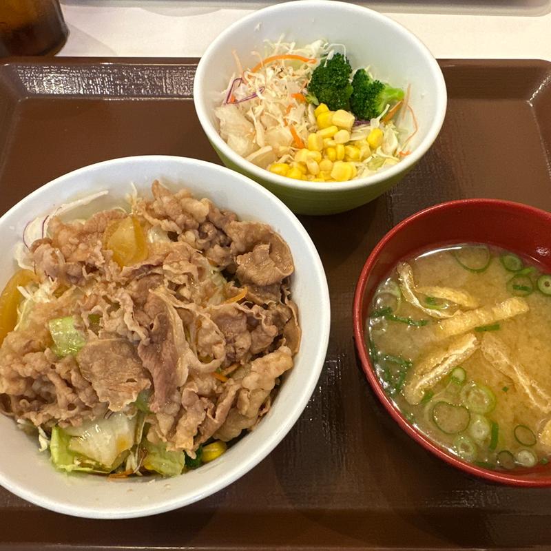 牛丼ライトサラダセット(すき家 143号上田原店 )