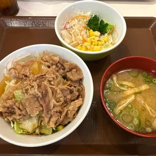 牛丼ライトサラダセット(すき家 143号上田原店 )