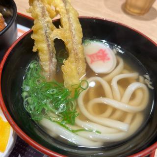 かしわごぼ天うどん