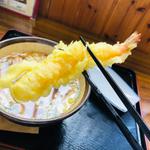 海老天