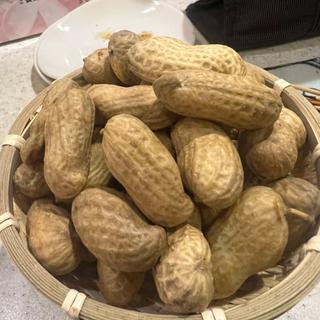 塩ゆで落花生(とりさだ)