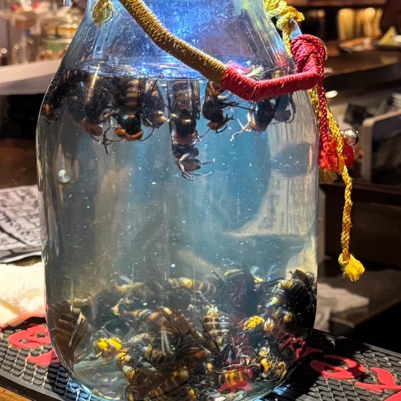 スズメバチ酒(スズメバチ)