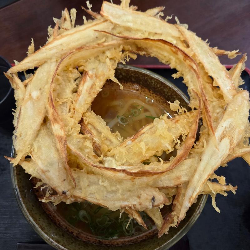 ごぼう天うどん(大地のうどん 太宰府店)