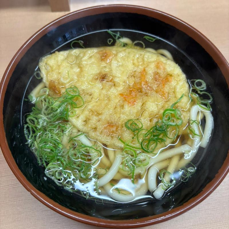 天ぷらうどん(丸一屋 )
