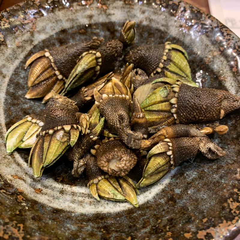 カメノテの塩茹で(清龍 池袋西口店)