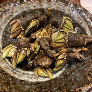 カメノテの塩茹で(清龍 池袋西口店)