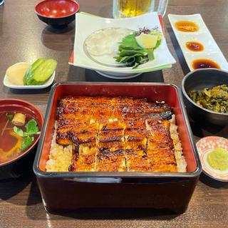 本格地焼きうな重(うなぎ創作 鰻樹)