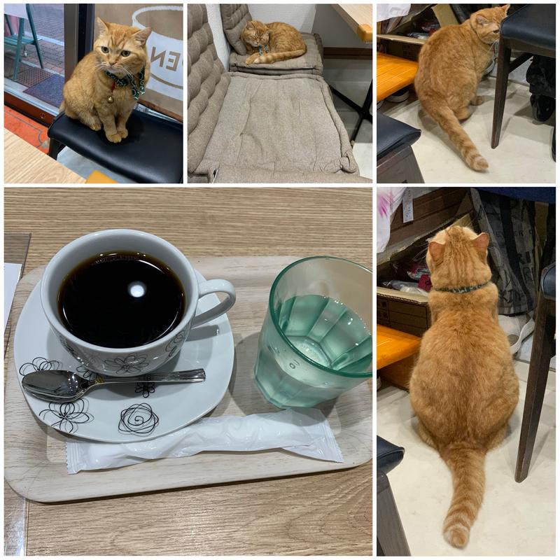 竹炭焙煎珈琲(モアずカフェ)