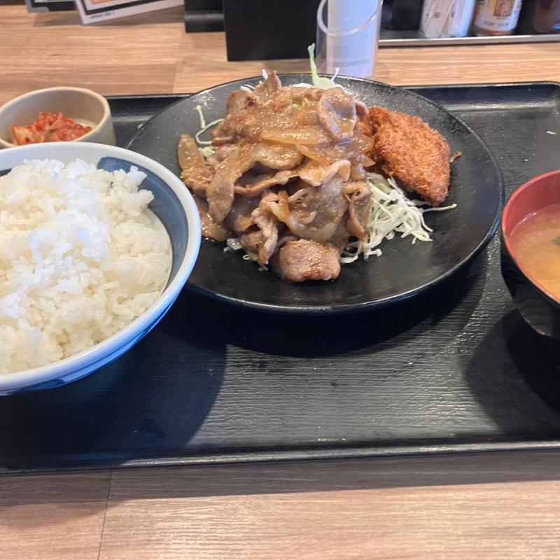 生姜焼きヒレカツ定食(野郎めし 太田50号バイパス店)