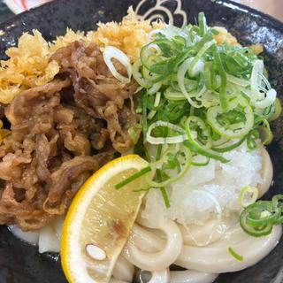 牛肉おろしぶっかけ