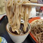 二枚田舎ざる(かんだ　冨そば )