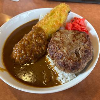 ハンバーグ　丸ごと茄子フライ