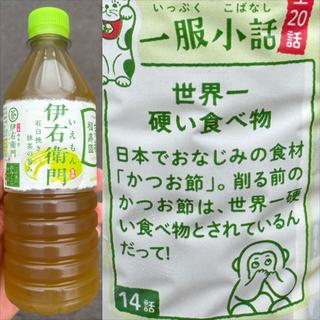 京都福寿園・伊右衛門(自動販売機)