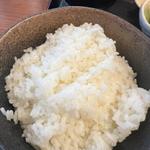 ごはん