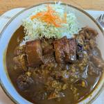 照焼チキンカレー