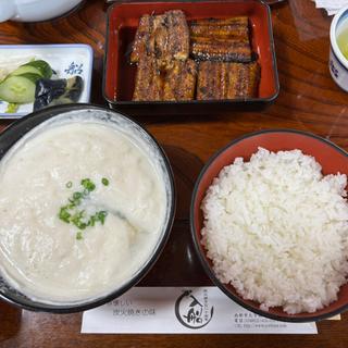 うなぎ定食