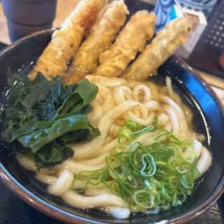 肉ごぼううどん