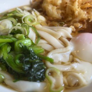 きしめん大、天ぷら、たまご