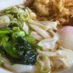 きしめん大、天ぷら、たまご(山喜うどん)