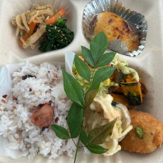 栄養士がつくる日替わりバランス弁当
