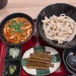 辛肉きのこ汁つけうどん（並）+極太きんぴらごぼう