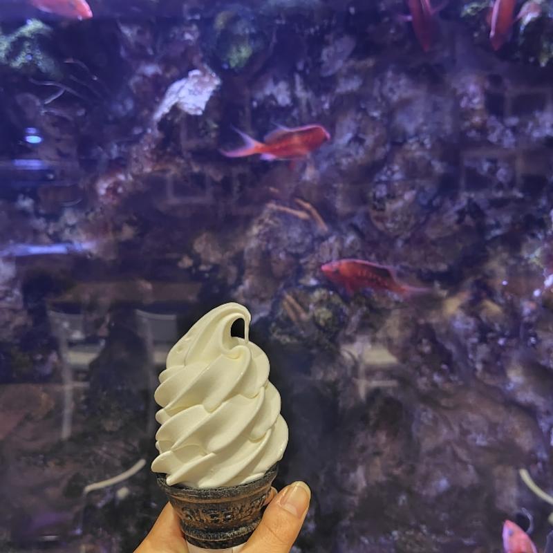 三和牛乳ソフトクリーム(上越市立水族博物館 うみがたり)